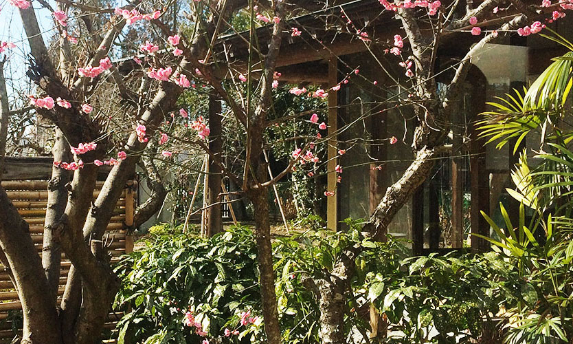 鄙の香りイメージ