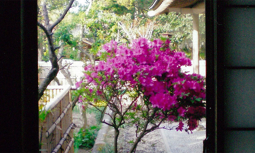 鄙の香りイメージ