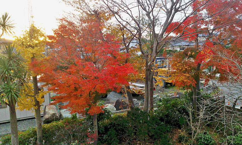 鄙の香りイメージ